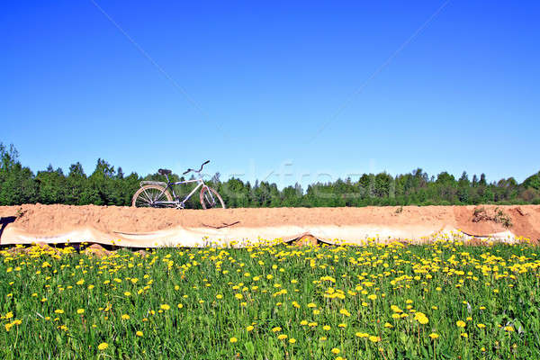 rural sandy road Stock photo © basel101658