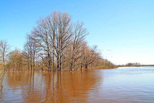 Arbre eau ciel nature beauté piscine [[stock_photo]] © basel101658