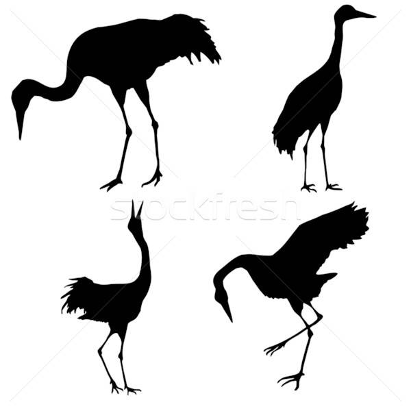 silhouette of the cranes isolated on white background Stock photo © basel101658