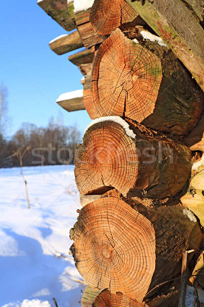Angolo vecchio legno costruzione foresta neve Foto d'archivio © basel101658