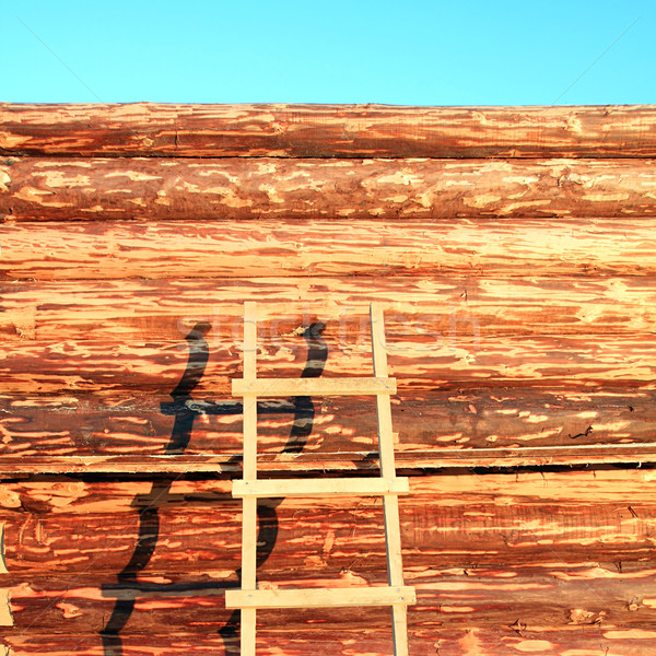  construction of the new wooden building Stock photo © basel101658