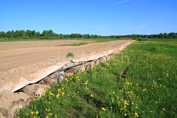 Starzenie się wiejski drogowego wiosną trawy drewna Zdjęcia stock © basel101658