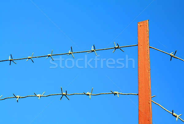barbed wire Stock photo © basel101658
