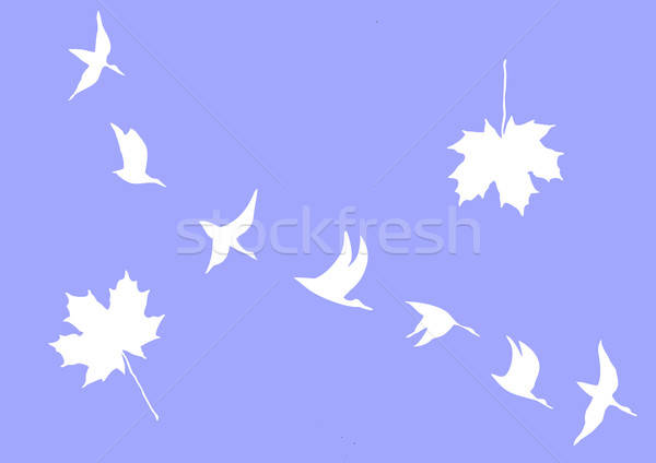 silhouettes of the cranes and maple leafs on blue background Stock photo © basel101658