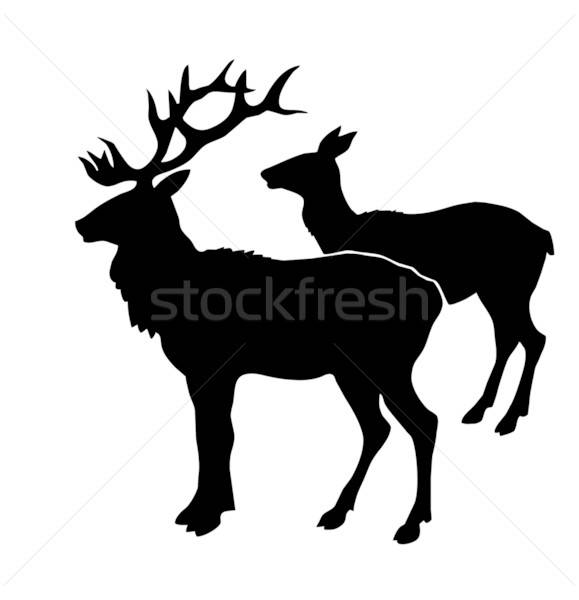 illustration of the deers on white background Stock photo © basel101658