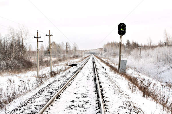 Spoorweg hout sneeuw trein reizen cool Stockfoto © basel101658
