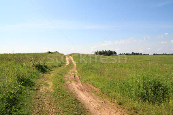 rural road Stock photo © basel101658