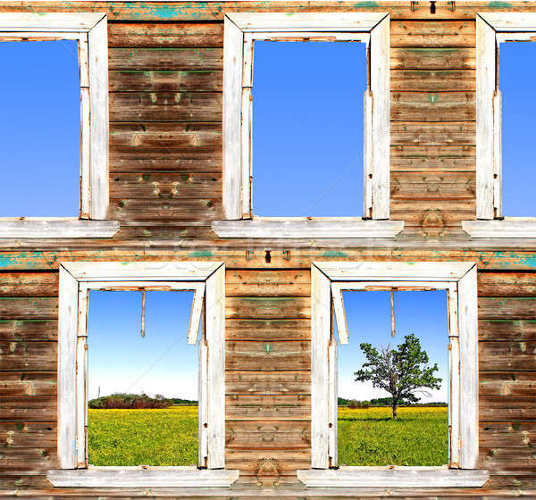 view from old window. abstract Stock photo © basel101658