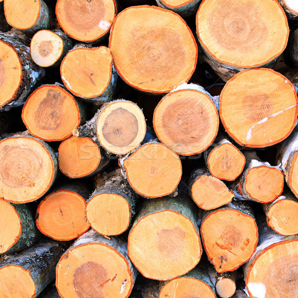 Brennholz Baum Natur Schnee Rahmen Winter Stock foto © basel101658