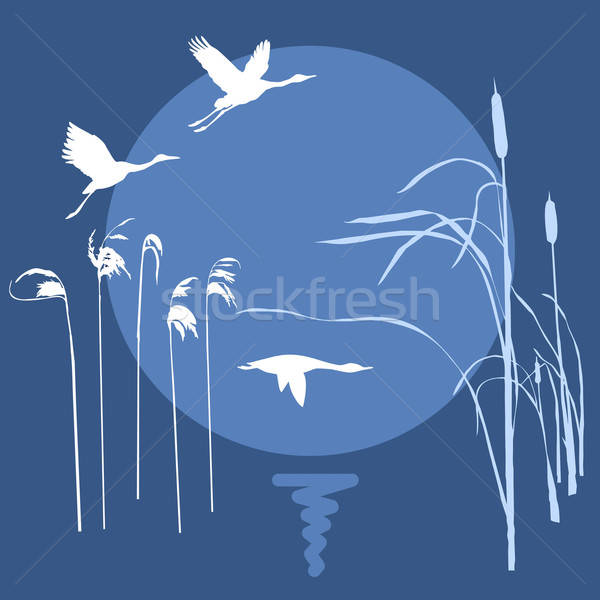 Vecteur dessin battant oiseaux soleil printemps [[stock_photo]] © basel101658