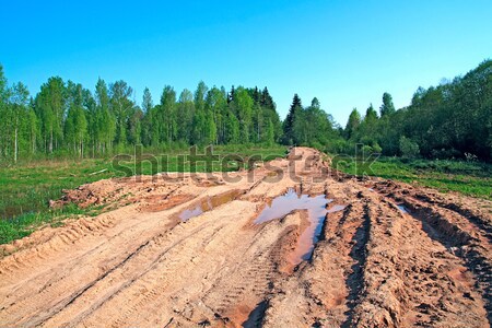 Veroudering landelijk weg water voorjaar gras Stockfoto © basel101658