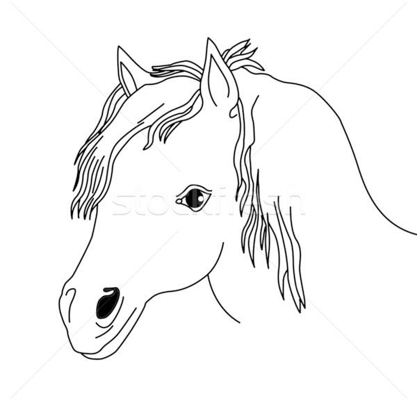Vector silueta cabeza caballo blanco naturaleza Foto stock © basel101658