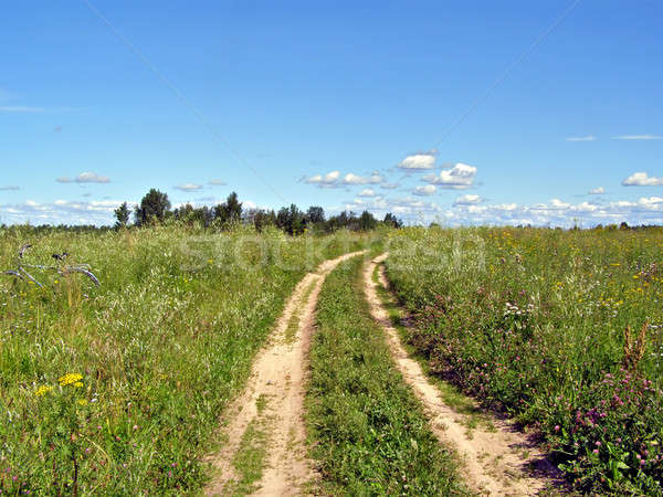Veroudering landelijk weg veld voorjaar gras Stockfoto © basel101658