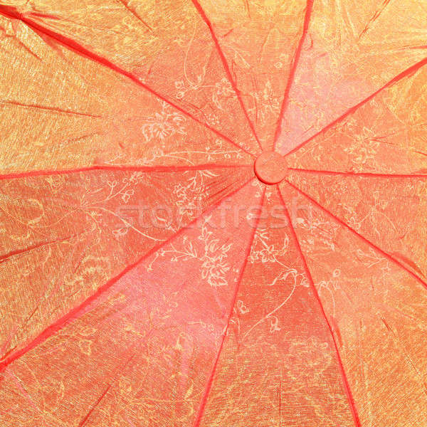 umbrella Stock photo © basel101658