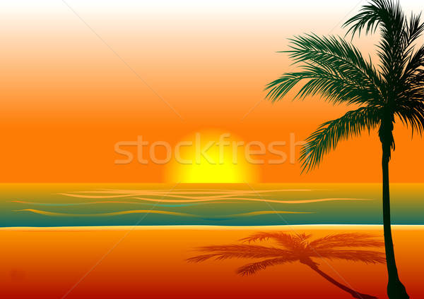 Strand Meer Gold Silhouette Insel heißen Stock foto © BasheeraDesigns