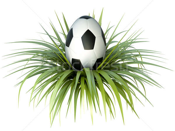 Fútbol huevo huevo de Pascua 3d hierba diseno Foto stock © bayberry
