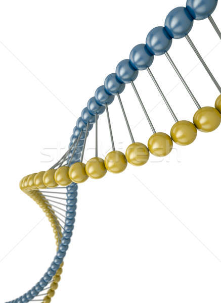 Dna Stock photo © bayberry