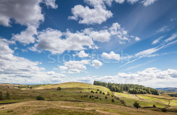 Panorama nuvoloso cielo english campagna nubi Foto d'archivio © bayberry