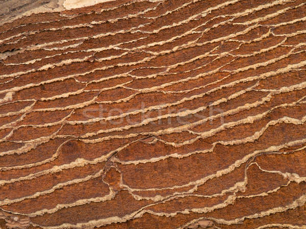 Kahverengi eski doku havlama ağaç soyut Stok fotoğraf © bazilfoto