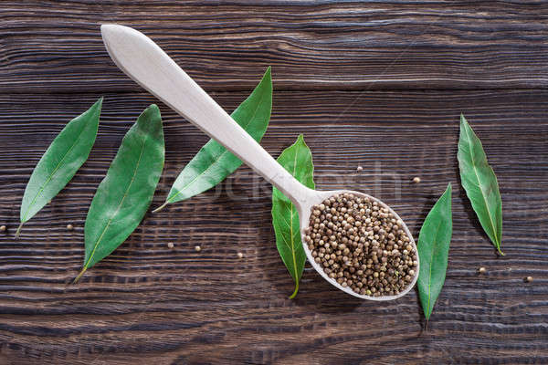 bay leaf and coriander  Stock photo © bazilfoto