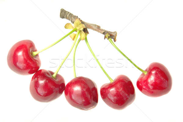 Piros cseresznye természet levél gyümölcs eszik Stock fotó © bazilfoto