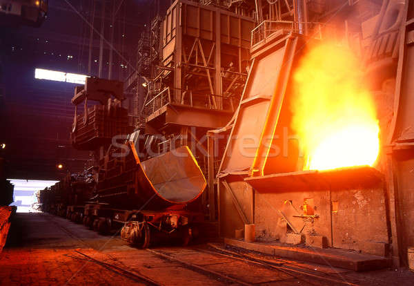 Plant; Stock photo © bazilfoto