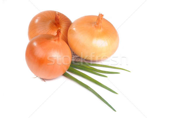 Stock photo: onion