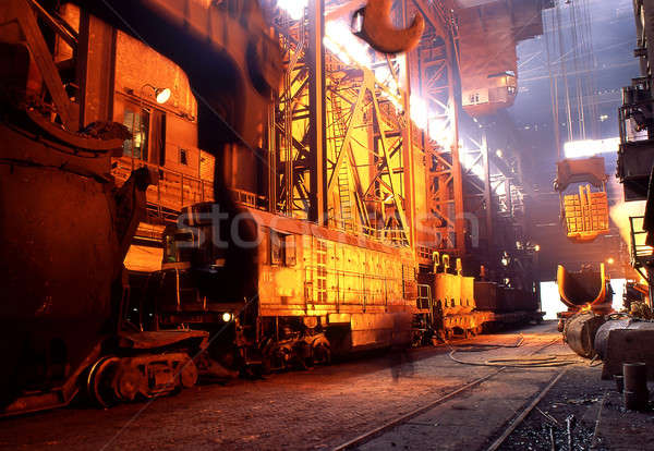  plant Stock photo © bazilfoto