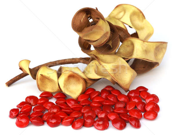 Sandalwood Seeds with dried bean Stock photo © bdspn