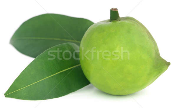 Eetbaar vruchten ei bladeren vruchten huid Stockfoto © bdspn