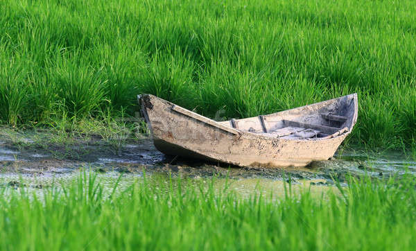 Old wooden boat in a paddy field Stock photo © bdspn