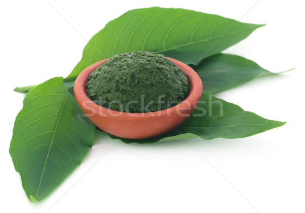 Stock photo: Mashed vitex Negundo or Medicinal Nishinda leaves 