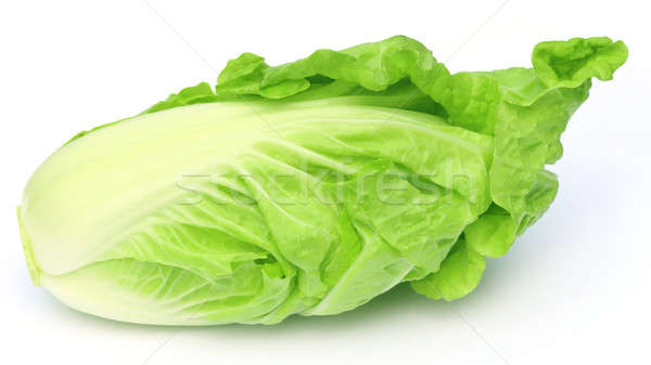 Fresh chinese cabbage Stock photo © bdspn