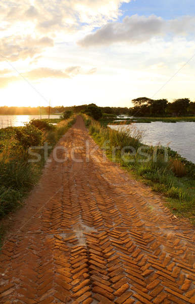 Brick road in rural area Stock photo © bdspn