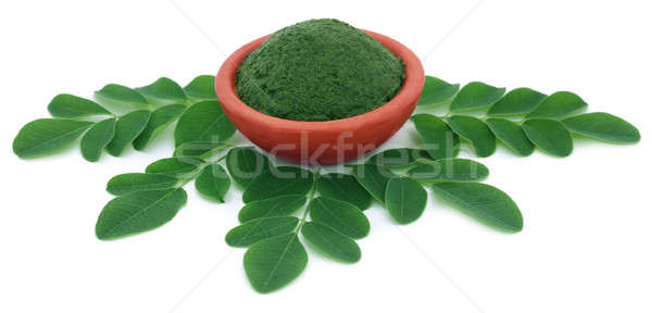 Essbar Blätter Boden Essen grünen gesunden Stock foto © bdspn