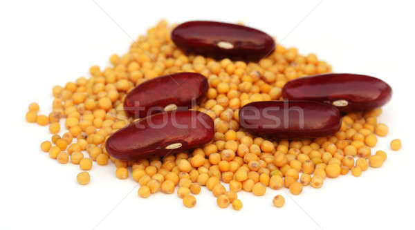 Moutarde indian comestibles médecine groupe semences [[stock_photo]] © bdspn