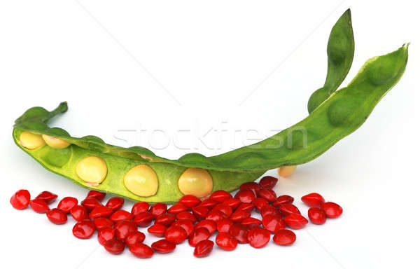 Sandalwood Seeds with green bean Stock photo © bdspn