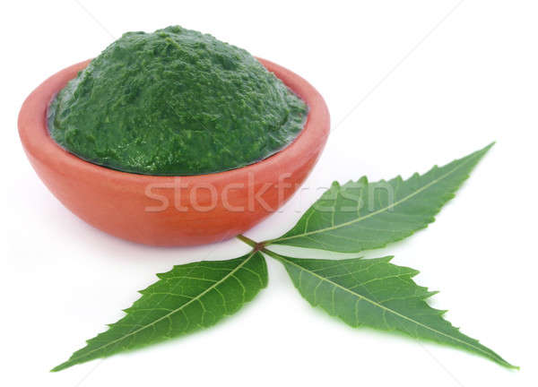 Medicinal neem leaves with ground paste Stock photo © bdspn