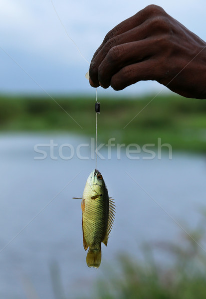 Climbing sud-est asiatico pesca mano lago asian Foto d'archivio © bdspn