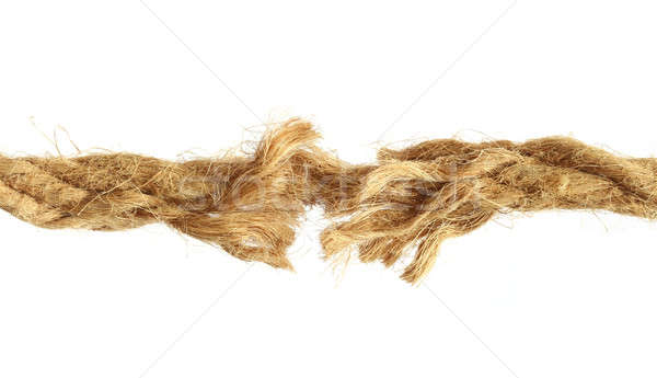 Torn rope Stock photo © bdspn