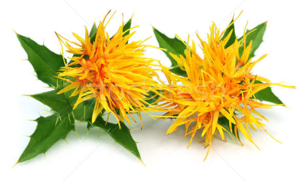 Comestibil alimente fundal frunze galben proaspăt Imagine de stoc © bdspn