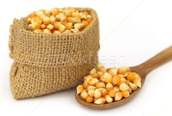 Corns in sack bag with spoon Stock photo © bdspn