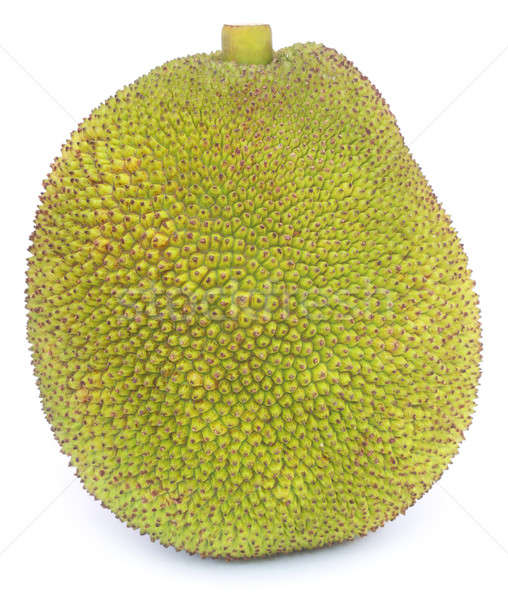 Jackfruit Stock photo © bdspn