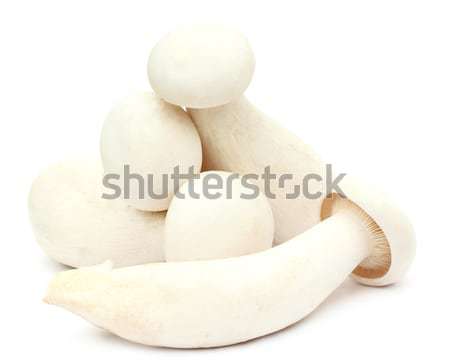 Stockfoto: Vers · melkachtig · champignon · geïsoleerd · witte · groep