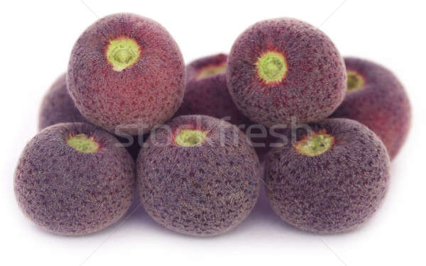 Grewia asiatica or Falsa fruits of Southeast Asia Stock photo © bdspn
