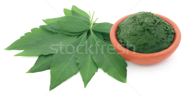 Stock photo: Vitex Negundo or Medicinal Nishinda leaves