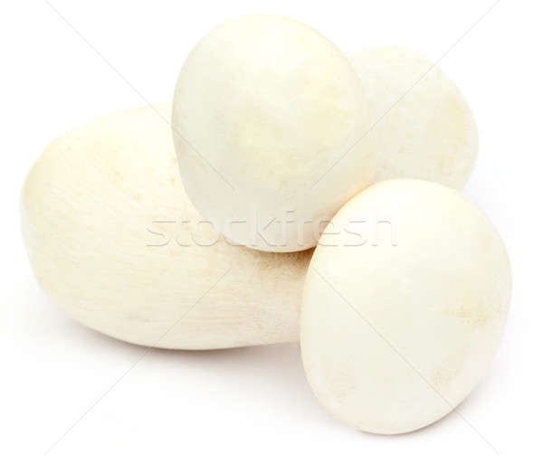 Proaspăt laptos ciupercă izolat alb grup Imagine de stoc © bdspn