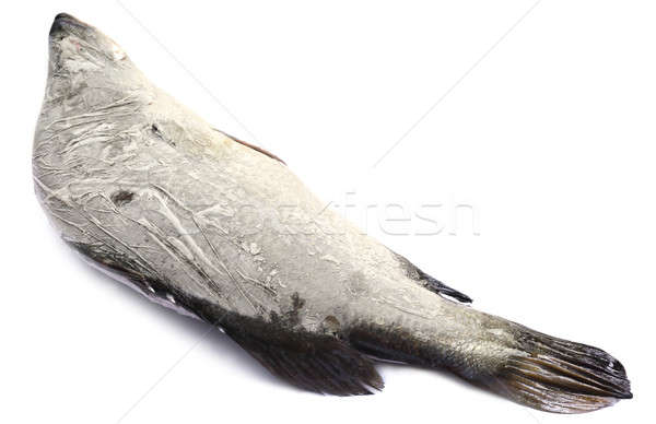 Frozen Barramundi or Koral fish Stock photo © bdspn