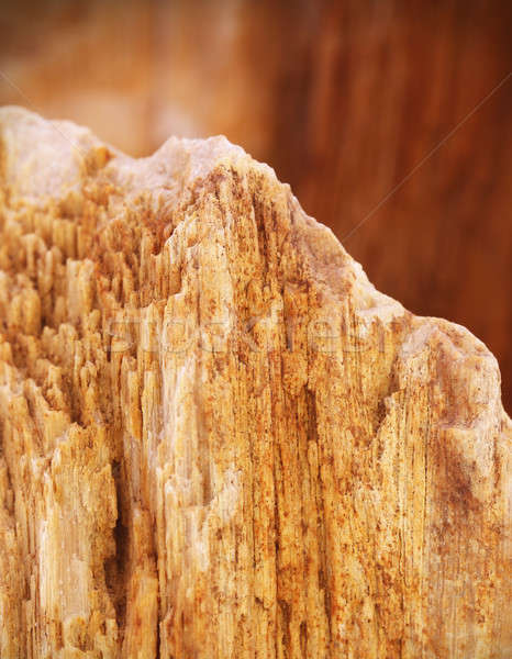 Sedimentary rock Stock photo © bdspn