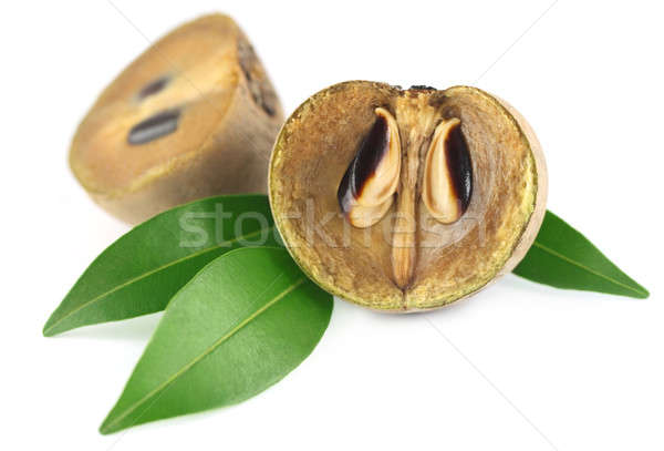 Sapodilla fruits Stock photo © bdspn